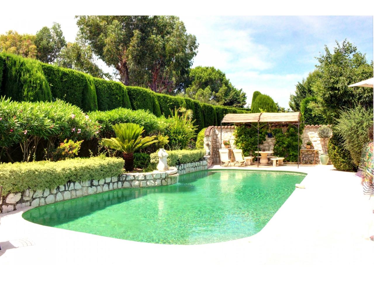 Picture-1046327-4 (1).jpg