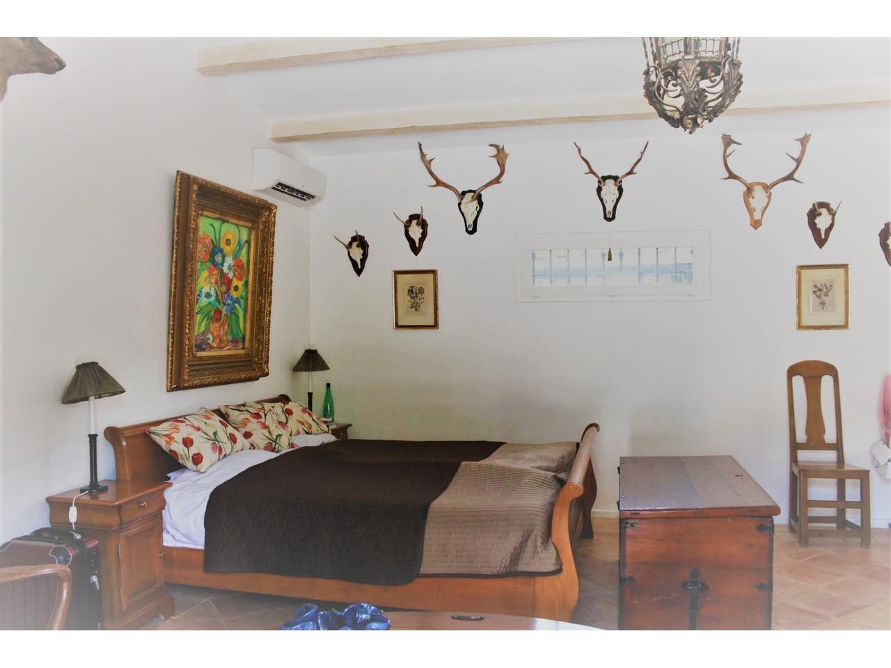 Picture-1046327-10 (1).jpg